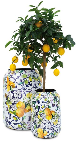 Květináče Lemon Fusion, set Ø 47/30 cm, výška 62/43 cm Rozměry: Set průměrů Ø 47/30 cm, výška 62/43 cm
