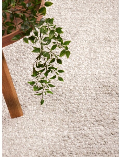 Slonovinový ručně tkaný koberec z materiálu bouclé 160x230 cm Notting Hill Portobello – Ted Baker