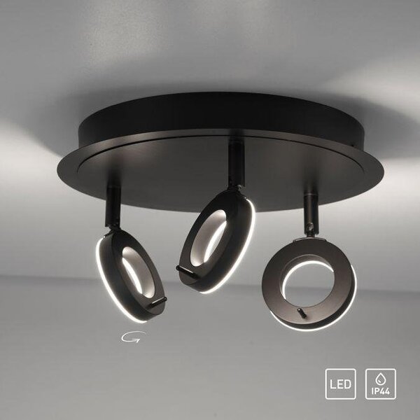 PN 6788-13 SILEDA LED stropní bodové svítidlo antracit, kruhové, 3 ramenné, otočné, ochrana proti vodě 3000K - PAUL NEUHAUS