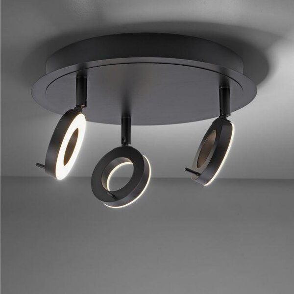 PN 6788-13 SILEDA LED stropní bodové svítidlo antracit, kruhové, 3 ramenné, otočné, ochrana proti vodě 3000K - PAUL NEUHAUS