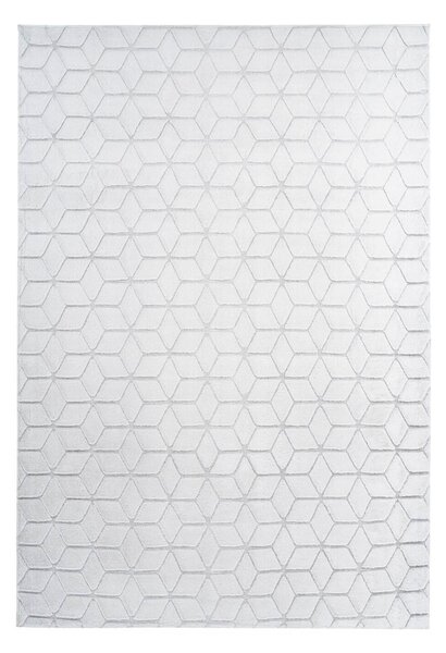 KOBEREC, 80/150 cm šedá, bílá - Online Only koberce & rohožky, Online Only