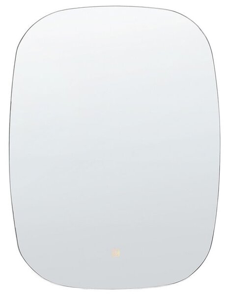 Nástěnné zrcadlo Biff (stříbrná). 1078058