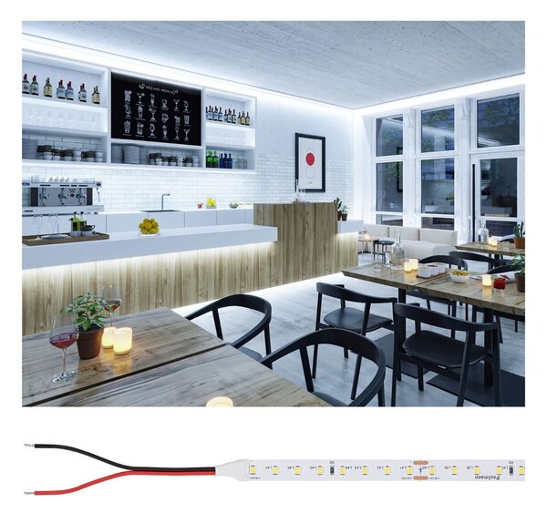 P 76028 Pro LED Strip Silver P75 865 10m 42W 750lm/m 96LEDs/m 6500K - PAULMANN