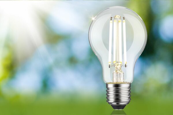 PAULMANN Eco-Line Filament 230V LED žárovka E27 4,3W 4000K stmívatelné čirá