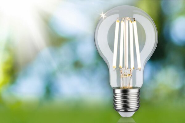 PAULMANN Eco-Line Filament 230V LED žárovka E27 4,5W 3000K stmívatelné čirá