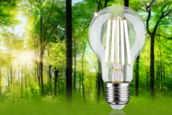 PAULMANN Eco-Line Filament 230V LED žárovka E27 4,5W 3000K stmívatelné čirá