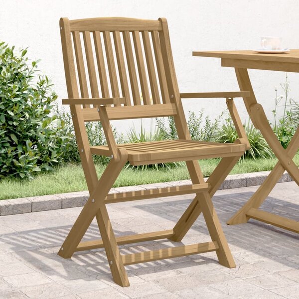 Skládací zahradní židle 2 ks 58 x 54,5 x 90 cm masivní akácie