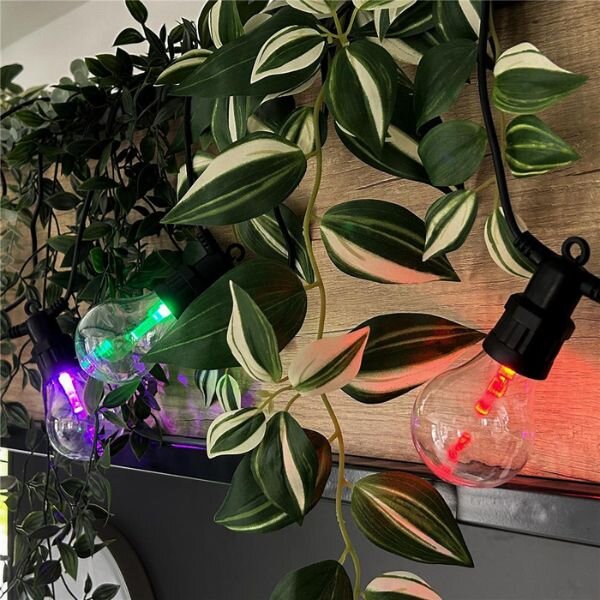 Venkovní světelný řetěz s 10 žárovkami Papaya RGB+W, 5m, 5W, nastavitelný, dálkové ovl