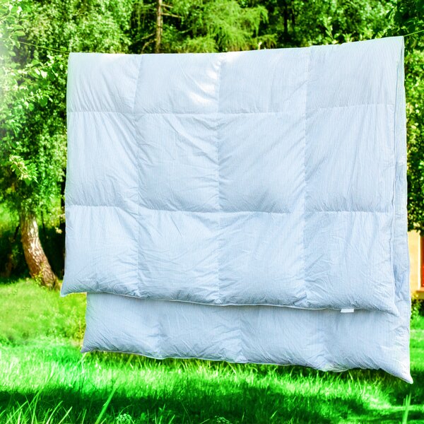 MAXI Set COMFORT 2x péřový polštář, 2x péřová přikrývka, 2x péřový polštářek: Modro-bílý proužek 2x 70x90cm, 2x 140x200cm, 2x 40x40cm