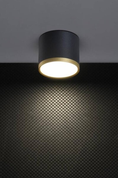 LED Bodové svítidlo TUBA LED/9W/230V černá/zlatá