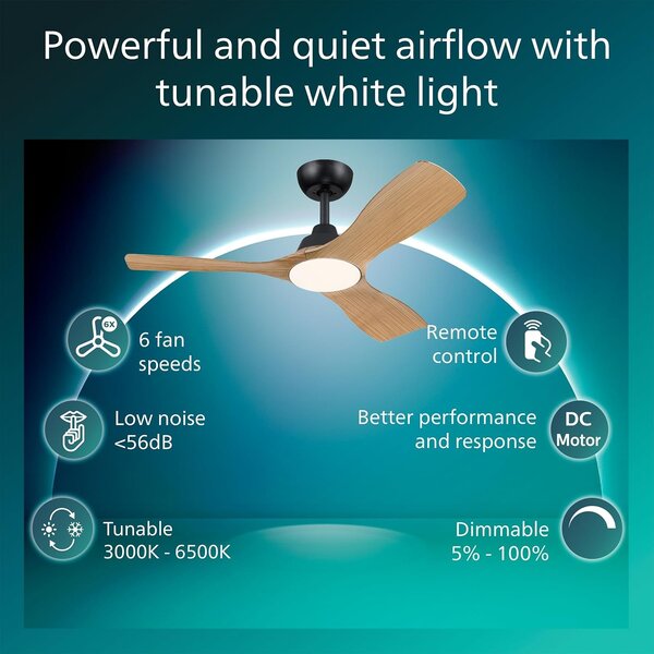 Olas stropní ventilátor a svítidlo 30W+24W černá a dřevo