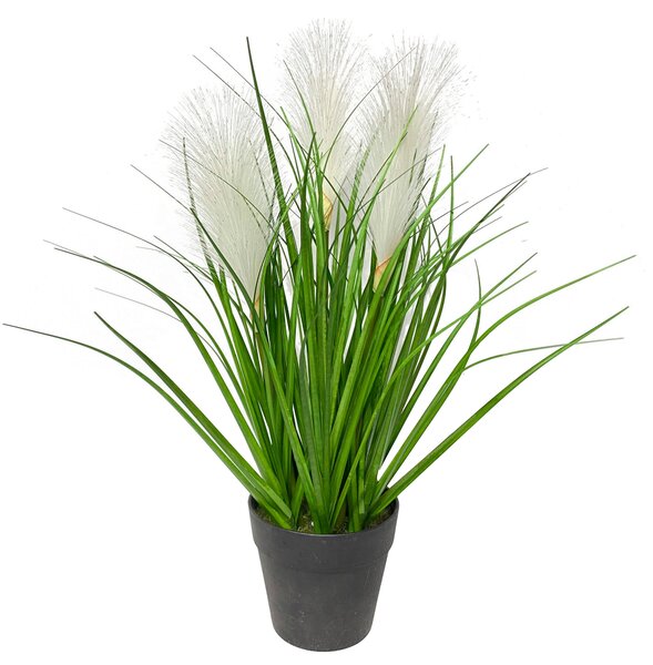 DEKORAČNÍ TRÁVA, 36 cm Ambia Home - Dekorační tráva