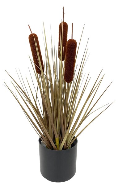 OROBINEC, 40 cm Ambia Home - Dekorační tráva