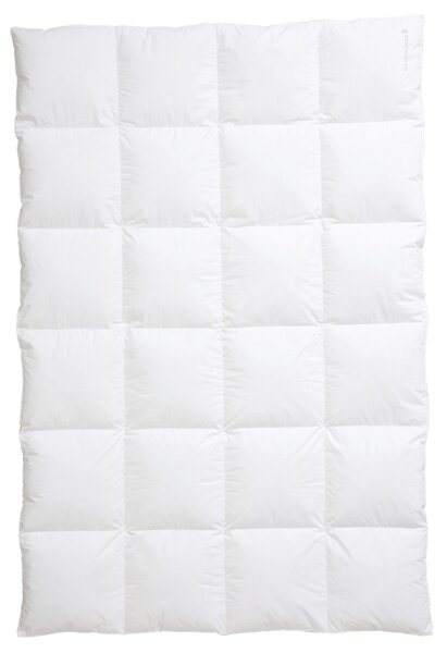 ZIMNÍ PŘIKRÝVKA, 135/200 cm, kachní prachové peří, kachní peří Centa-Star - Přikrývky, Online Only