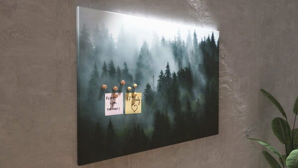 ALLboards CANVAS CAN96_86 obraz Les v mlze 90 x 60 cm
