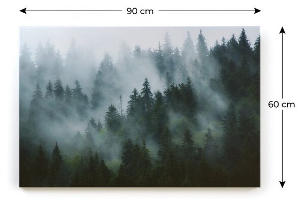 ALLboards CANVAS CAN96_86 obraz Les v mlze 90 x 60 cm