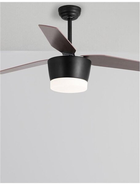 NV 5260251 Stropní ventilátor se světlem MONSOON tělo z oceli matná černá a sklo 3ABS dřevěné listy LED 18W 3000K - NOVA LUCE