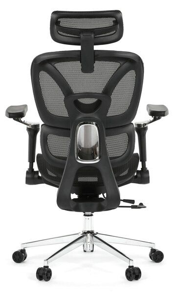 Ergonomická kancelářská židle FORCE - černá síťovina
