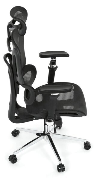 Ergonomická kancelářská židle FORCE - černá síťovina