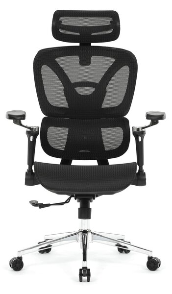 Ergonomická kancelářská židle FORCE - černá síťovina