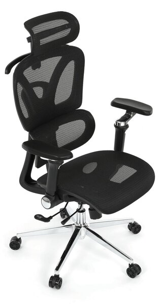 Ergonomická kancelářská židle FORCE - černá síťovina