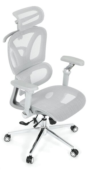 Ergonomická kancelářská židle FORCE - šedá síťovina