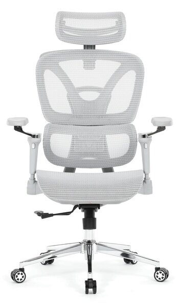 Ergonomická kancelářská židle FORCE - šedá síťovina
