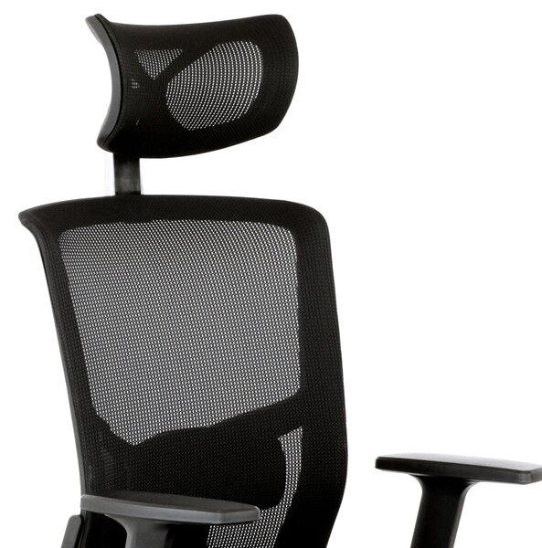 Ergonomická kancelářská židle RELORA - černá síťovina