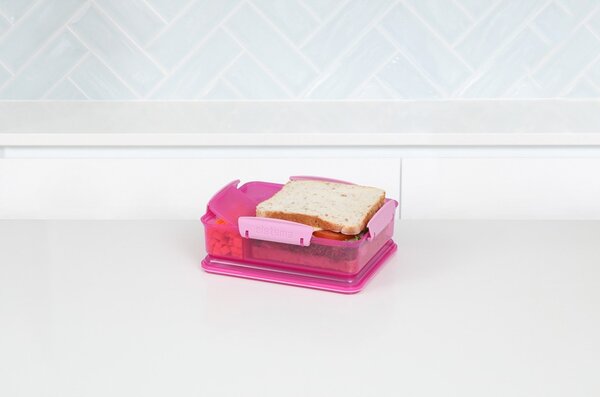 Sistema Dělený svačinový box Lunch Snack Attack Duo s 2 oddělenými přihrádkami 975 ml, růžová