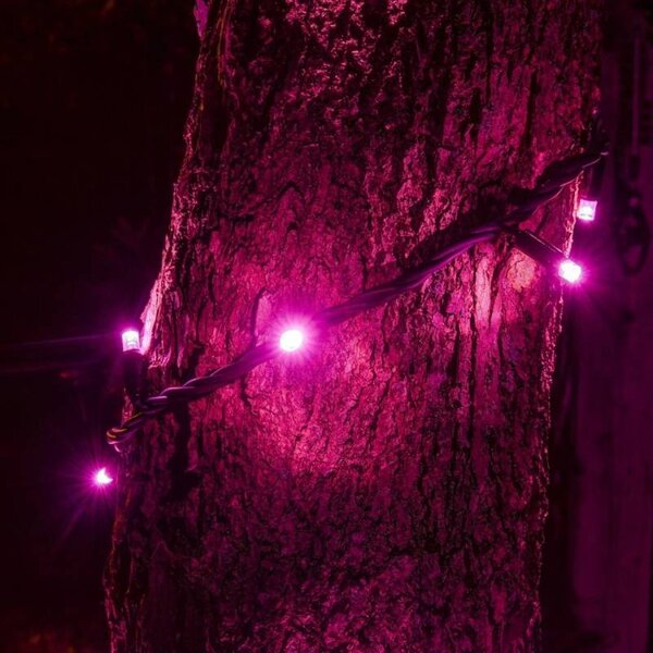 DECOLED Easy fix LED světelný řetěz, 5 m, venkovní, růžový, 50 diod, černý kabel, IP67