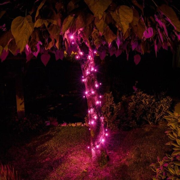 DECOLED Easy fix LED světelný řetěz, 5 m, venkovní, růžový, 50 diod, černý kabel, IP67