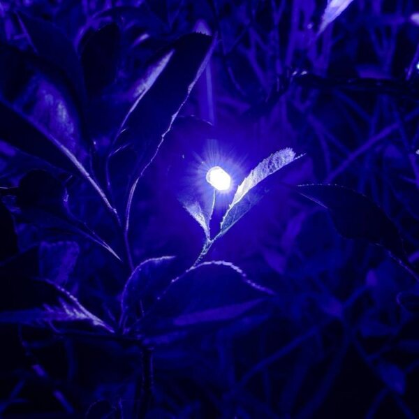 DECOLED Hobby Line LED světelný řetěz, venkovní, 4 m, modrý, 32 diod, tmavě zelený kabel, IP44, prodlužovací