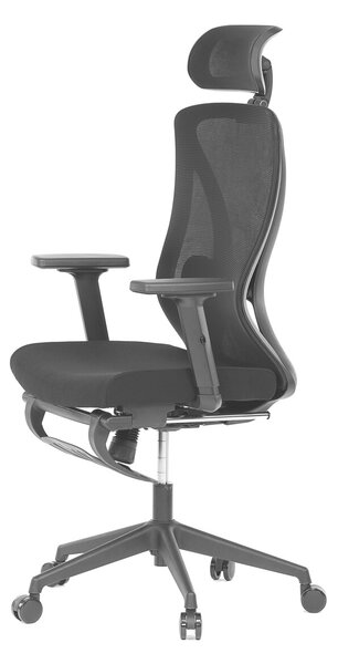 Ergonomická kancelářská židle ROJAS - černá síťovina