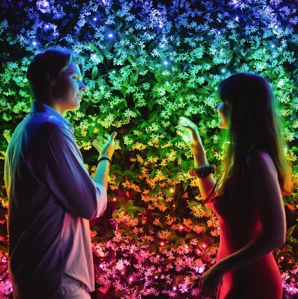 LEDWORKS Barevná světýlka venkovní Twinkly strings LED světelný řetěz RGB, 20 m, 250 diod, IP44