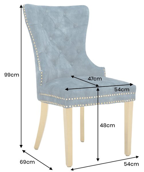 Designová židle Queen Lví hlava petrolejový samet