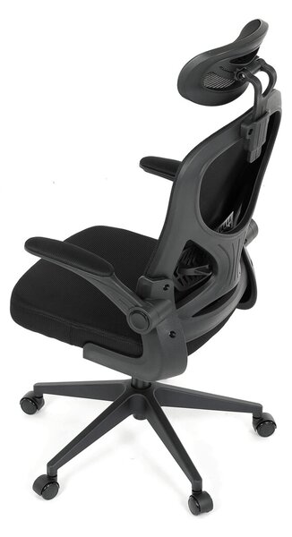 Ergonomická kancelářská židle ALEXANDRE - černá síťovina