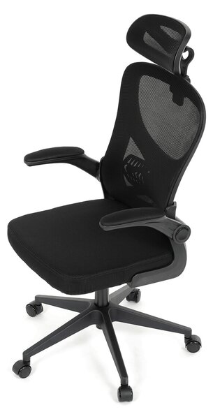 Ergonomická kancelářská židle ALEXANDRE - černá síťovina