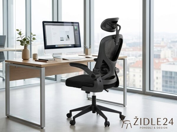 Ergonomická kancelářská židle ALEXANDRE - černá síťovina