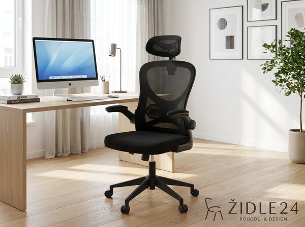 Ergonomická kancelářská židle ALEXANDRE - černá síťovina