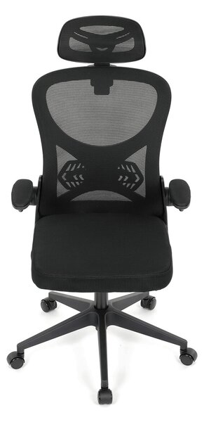 Ergonomická kancelářská židle ALEXANDRE - černá síťovina
