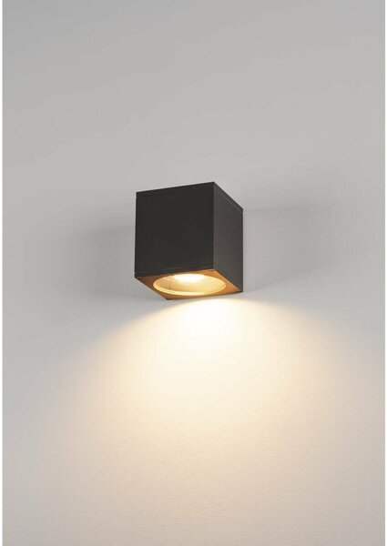 BIG WHITE SLV BIG THEO WALL, venkovní nástěnné svítidlo, QPAR111, IP44, hranaté, antracit, max. 75 W 229565