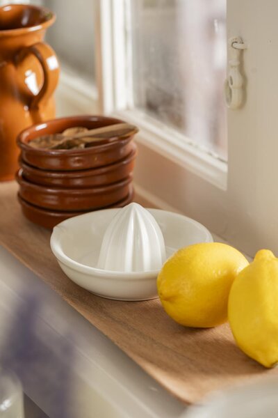 Porcelánový lis na citrusy Ib Laursen IBL382