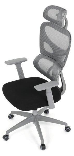 Ergonomická kancelářská židle RENEE - šedá síťovina / černá látka