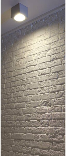 BIG WHITE SLV BIG THEO, venkovní stropní svítidlo, QPAR111, IP44, hranaté, stříbrošedé, max. 75 W 229554
