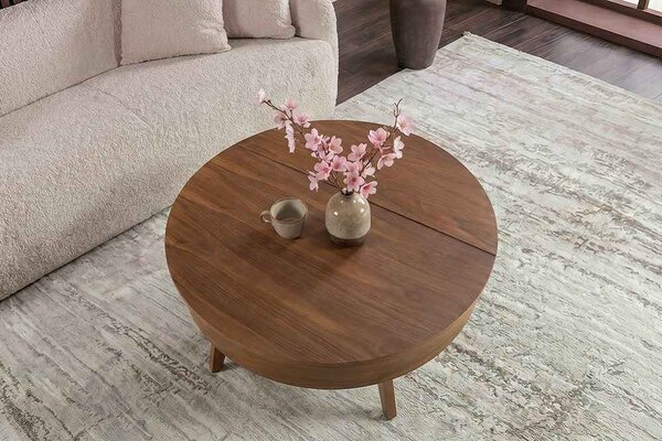 Designový konferenční stolek Rajnish 70 cm hnědé mango
