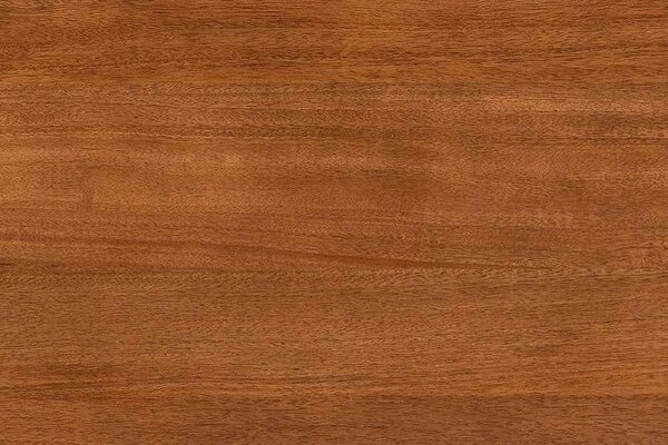 Designová komoda Opaline 177 cm hnědé mango