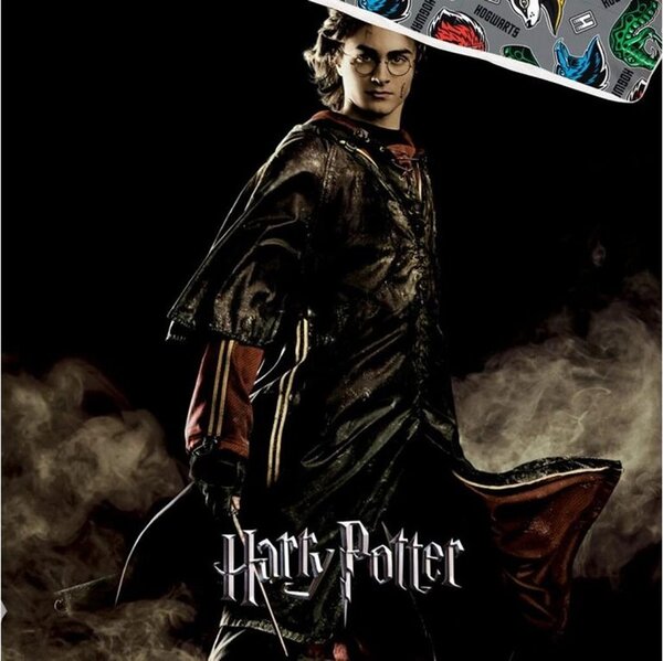Povlečení Harry Potter Ohnivá zkouška 140x200, 70x90 cm