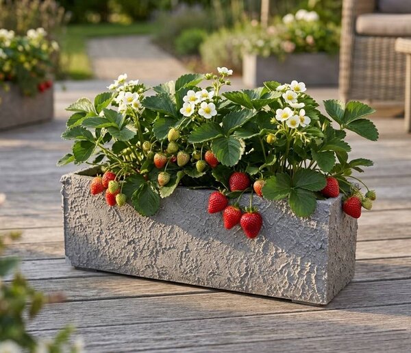 AMADEA Betonový truhlík odlehčený - hrubý, 53x22,5x17,5 cm, český výrobek