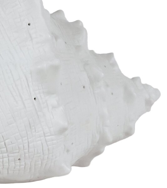 ONLI - Stolní lampa PORCELLANA 1xE14/6W/230V 29 cm mušle