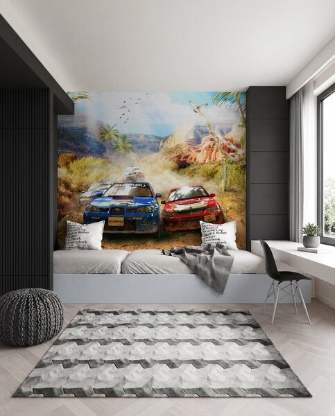 Fototapety Rally v kaňonu, Fototapety doprava, u64438 : uwalls.cz